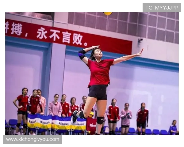 排球技术排行榜揭晓北京排球队荣登第十位展现强劲实力