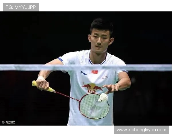 杭州羽毛球队进攻战术解析与实战应用全方位解读